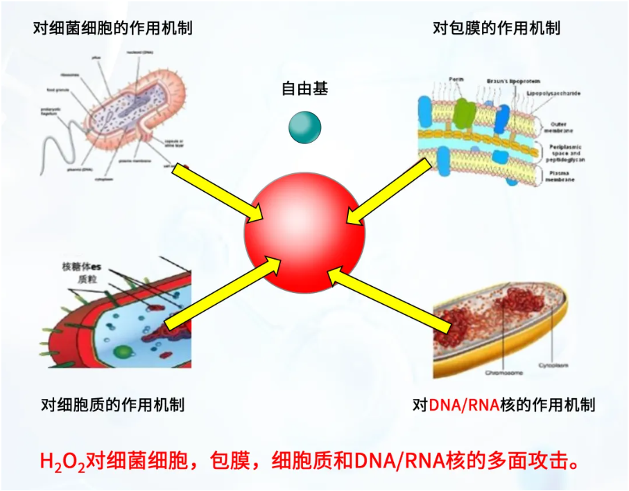 1722501343805855Fnlx.png image.png